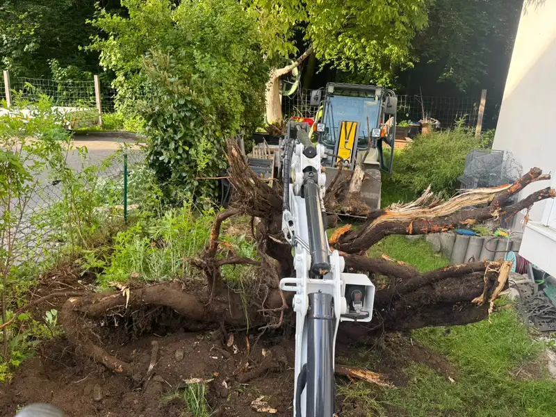 Baggerarm zieht einen Baumstumpf aus dem Boden