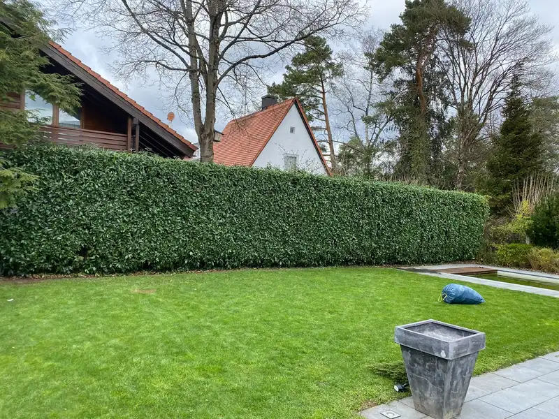 Lange Hecke auf Höhe und Form geschnitten